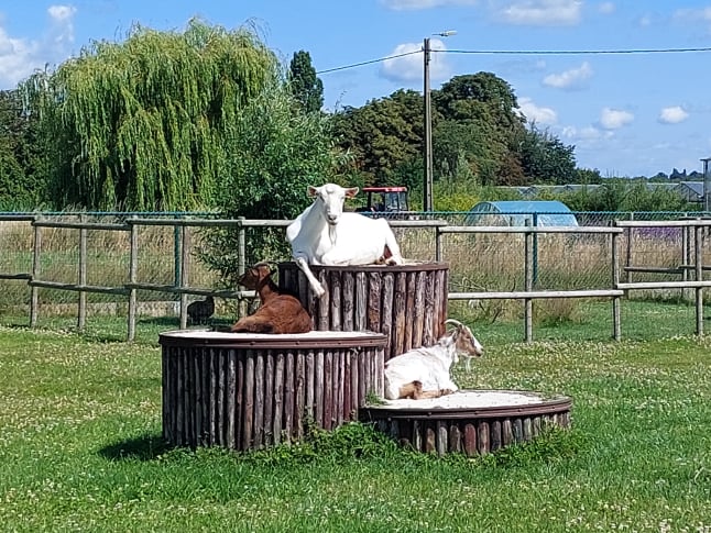 Mobirise Website Builder